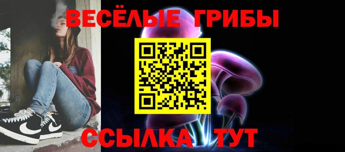 Азов  Псилоцибиновые грибы Psilocybine cubensis  купить   Галлюциногенные грибы GOLDEN TEACHER  Вход с VPN 